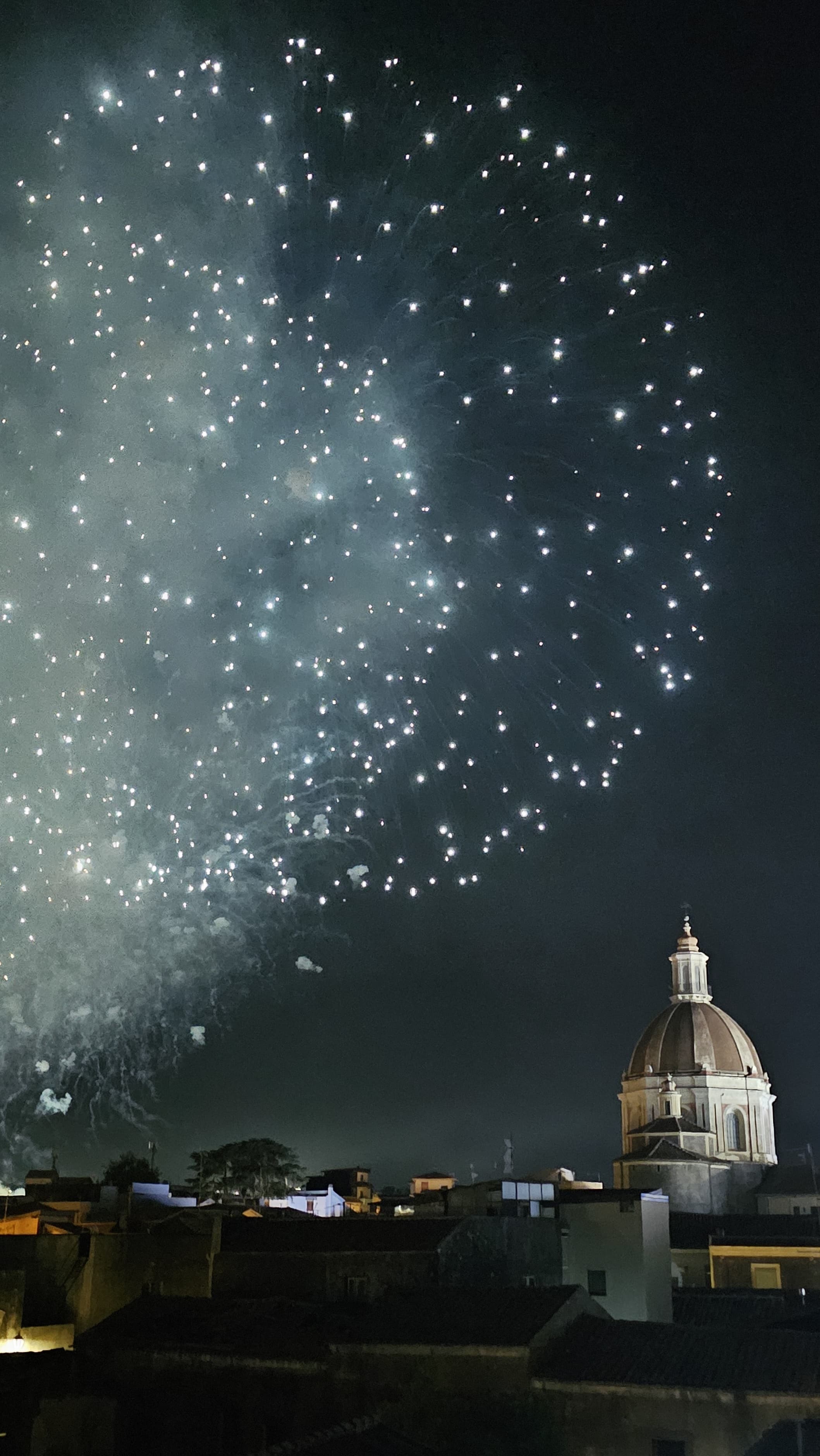 Festa di Sant'Antonio Abate - IMG-20240826-WA0013